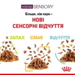 Вологий корм для дорослих котів ROYAL CANIN SENSORY MULTIPACK GRAVY, 12 паучів - Зображення 2
