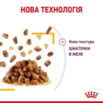 Вологий корм для дорослих котів ROYAL CANIN SENSORY TASTE JELLY 0.085 кг, шматочки у желе, cтимулює смак - Зображення 2