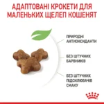 Корм для кошенят ROYAL CANIN KITTEN 0.4 кг - Зображення 3