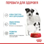 Вологий корм для новонароджених цуценят та собак у період лактації ROYAL CANIN STARTER MOUSE 0.195 кг - Зображення 5