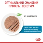 Вологий корм для новонароджених цуценят та собак у період лактації ROYAL CANIN STARTER MOUSE 0.195 кг - Зображення 4