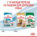 Вологий корм для цуценят ROYAL CANIN MINI PUPPY 0.085 кг - Зображення 3