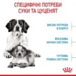 Корм для цуценят середніх порід ROYAL CANIN MEDIUM STARTER 1.0 кг - Зображення 5