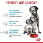 Корм для цуценят середніх порід ROYAL CANIN MEDIUM STARTER 1.0 кг - Зображення 4