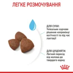 Корм для цуценят середніх порід ROYAL CANIN MEDIUM STARTER 1.0 кг - Зображення 3