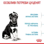 Корм для цуценят великих порід собак ROYAL CANIN MAXI PUPPY - Зображення 5