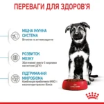 Корм для цуценят великих порід собак ROYAL CANIN MAXI PUPPY - Зображення 4