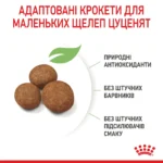 Корм для цуценят великих порід собак ROYAL CANIN MAXI PUPPY - Зображення 3