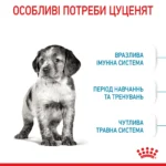 Корм для цуценят середніх порід ROYAL CANIN MEDIUM PUPPY - Зображення 5
