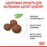 Корм для цуценят середніх порід ROYAL CANIN MEDIUM PUPPY - Зображення 3