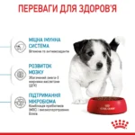 Корм для цуценят малих порід ROYAL CANIN MINI PUPPY - Зображення 4
