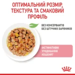 Вологий корм для кошенят ROYAL CANIN KITTEN IN JELLY 0.085 кг - Зображення 3
