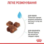 Корм для кошенят віком від 1 до 4 місяців і кішок під час вагітності ROYAL CANIN MOTHER & BABYCAT - Зображення 3