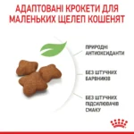 Корм для стерилізованих кошенят ROYAL CANIN KITTEN STERILISED - Зображення 3