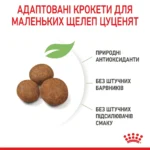 Корм для цуценят гігантських порід ROYAL CANIN GIANT PUPPY l - Зображення 5