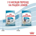 Корм для цуценят гігантських порід ROYAL CANIN GIANT PUPPY l - Зображення 3