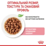 Вологий корм для кошенят (шматочки у соусі) ROYAL CANIN KITTEN IN GRAVY 0.085 кг, у паучах - Зображення 3