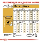 Корм для дорослих собак породи Чихуахуа ROYAL CANIN CHIHUAHUA ADULT - Зображення 3