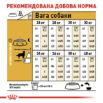 Корм для дорослих собак породи Золотистий ретривер ROYAL CANIN GOLDEN RETRIEVER ADULT 12.0 кг - Зображення 3