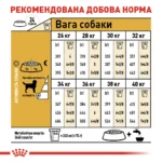 Корм для дорослих собак породи Лабрадор-ретривер ROYAL CANIN LABRADOR ADULT - Зображення 3