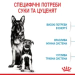 Корм для новонароджених цуценят великих порід собак ROYAL CANIN MAXI STARTER 4кг - Зображення 4
