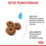 Корм для новонароджених цуценят великих порід собак ROYAL CANIN MAXI STARTER 4кг - Зображення 3