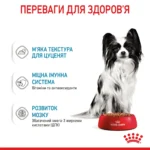Вологий корм для цуценят ROYAL CANIN XSMALL PUPPY  0.085 кг - Зображення 7