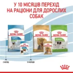 Вологий корм для цуценят ROYAL CANIN XSMALL PUPPY  0.085 кг - Зображення 2
