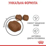Корм для котів ROYAL CANIN DENTAL CARE , для зменшення утворення зубного нальоту та каменю - Зображення 3