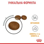 Корм для котів ROYAL CANIN HAIR&SKIN CARE , для підтримки здоров’я шкіри та блиску шерсті - Зображення 3