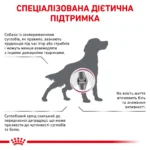 Корм для дорослих собак ROYAL CANIN MOBILITY SUPPORT DOG - Зображення 4