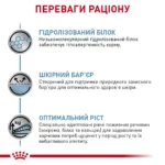 Корм для цуценят ROYAL CANIN HYPOALLERGENIC PUPPY - Зображення 6