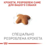 Корм для дорослих собак породи Бігль ROYAL CANIN BEAGLE ADULT 3 кг - Зображення 5