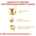 Корм для дорослих собак породи Бігль ROYAL CANIN BEAGLE ADULT 3 кг - Зображення 4