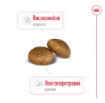Корм для дорослих собак великих порід ROYAL CANIN MAXI ADULT - Зображення 4