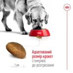 Корм для дорослих собак великих порід ROYAL CANIN MAXI ADULT 5+(віком від 5 років) 15 кг - Зображення 3