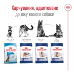 Корм для дорослих собак великих порід ROYAL CANIN MAXI AGEING 8+(віком від 8 років) 15 кг - Зображення 2