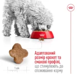 Корм для дорослих собак дрібних порід ROYAL CANIN MINI ADULT 8+(віком від 8 років) 0.8 кг - Зображення 4