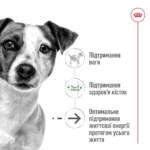 Корм для дорослих собак дрібних порід ROYAL CANIN MINI AGEING 12+(віком від 12 років) 0.8 кг - Зображення 5