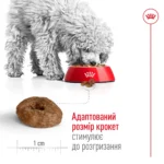 Корм для дорослих собак дрібних порід ROYAL CANIN MINI AGEING 12+(віком від 12 років) 0.8 кг - Зображення 3