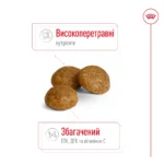 Корм для дорослих собак ROYAL CANIN XSMALL ADULT - Зображення 5