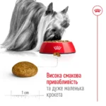 Корм для дорослих собак ROYAL CANIN XSMALL ADULT - Зображення 4