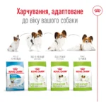 Корм для дорослих собак ROYAL CANIN XSMALL ADULT - Зображення 2