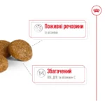 Корм для дорослих собак ROYAL CANIN XSMALL ADULT 8+(віком від 8 років) 3кг - Зображення 4