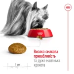 Корм для дорослих собак ROYAL CANIN XSMALL ADULT 8+(віком від 8 років) 3кг - Зображення 3