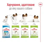Корм для дорослих собак ROYAL CANIN XSMALL ADULT 8+(віком від 8 років) 3кг - Зображення 2