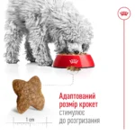 Корм для дорослих собак малих порід ROYAL CANIN MINI ADULT - Зображення 3
