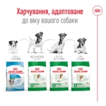 Корм для дорослих собак малих порід ROYAL CANIN MINI ADULT - Зображення 2