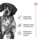 Корм для дорослих собак ROYAL CANIN MEDIUM ADULT - Зображення 5
