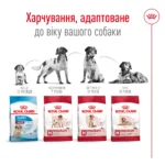 Корм для дорослих собак ROYAL CANIN MEDIUM ADULT - Зображення 2